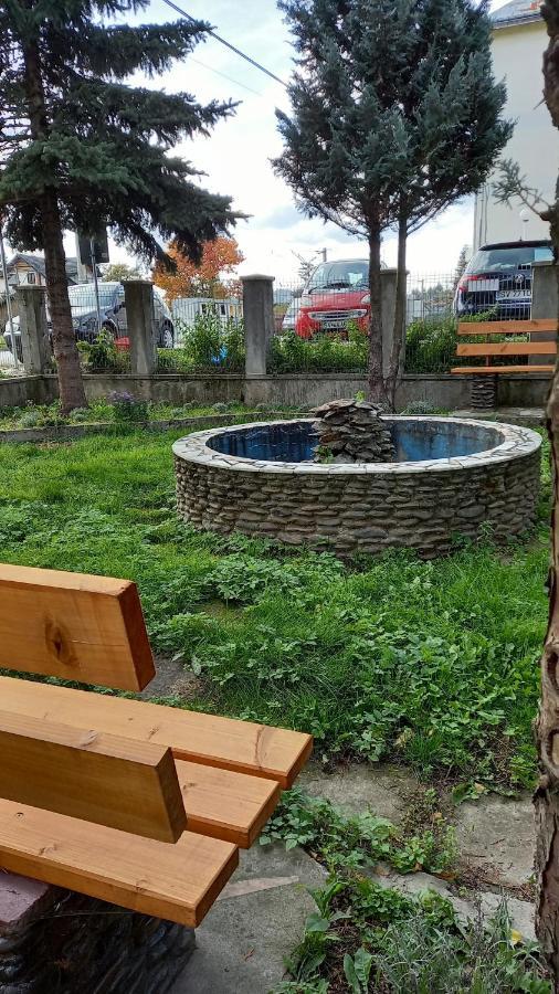 Casa Cu Lavanda Ватра-Дорней Экстерьер фото