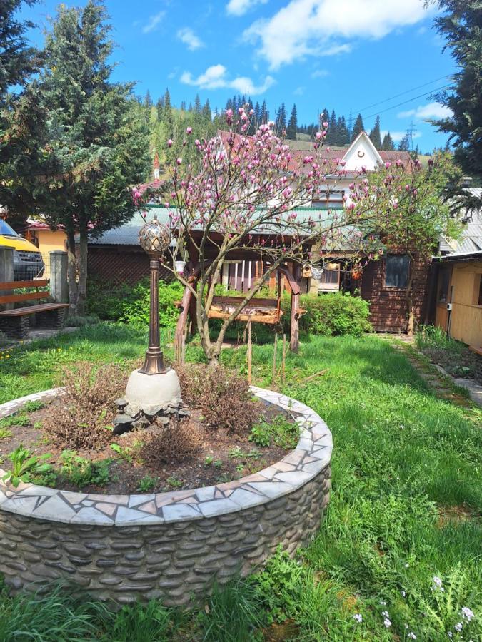 Casa Cu Lavanda Ватра-Дорней Экстерьер фото