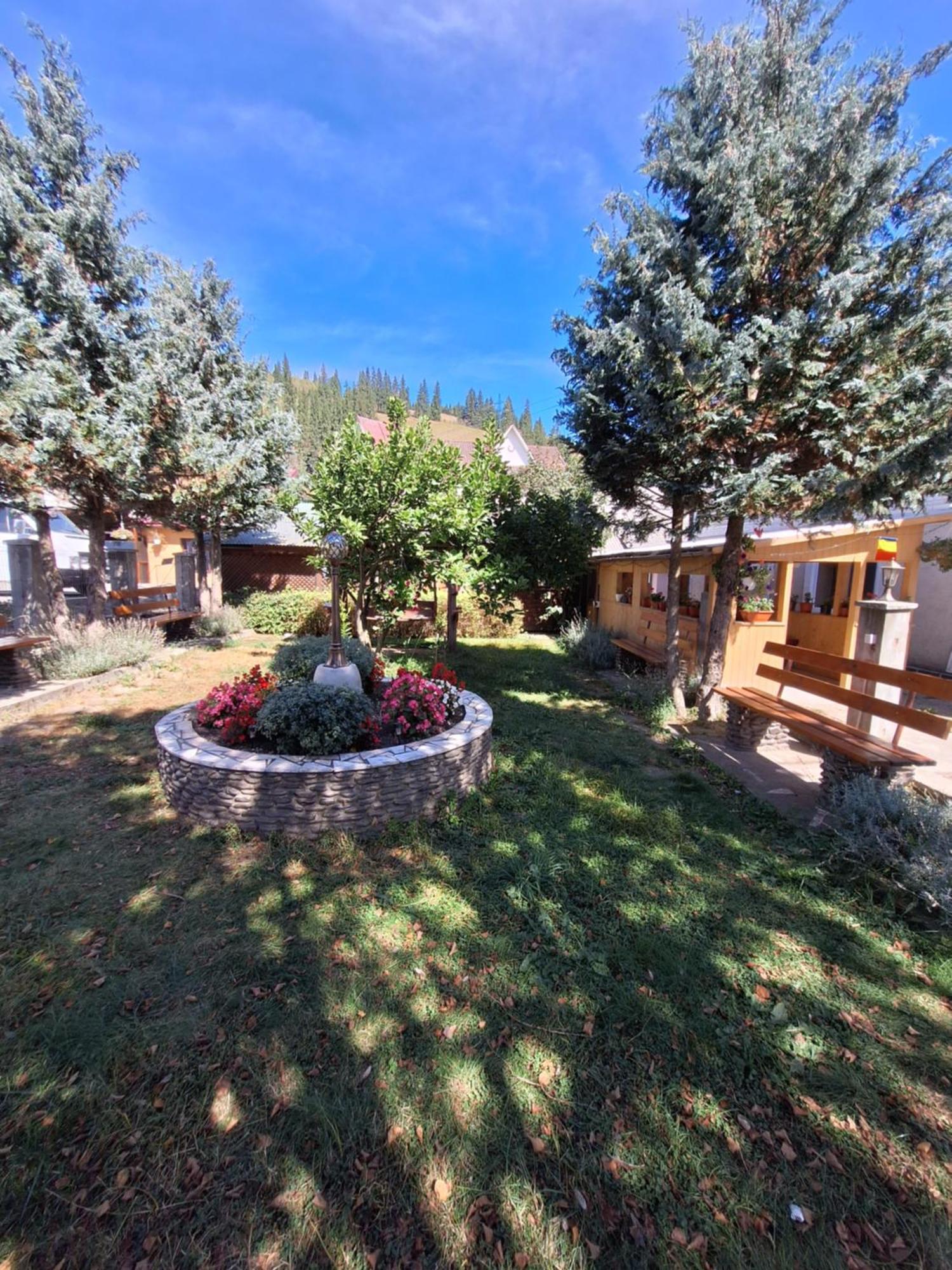 Casa Cu Lavanda Ватра-Дорней Экстерьер фото