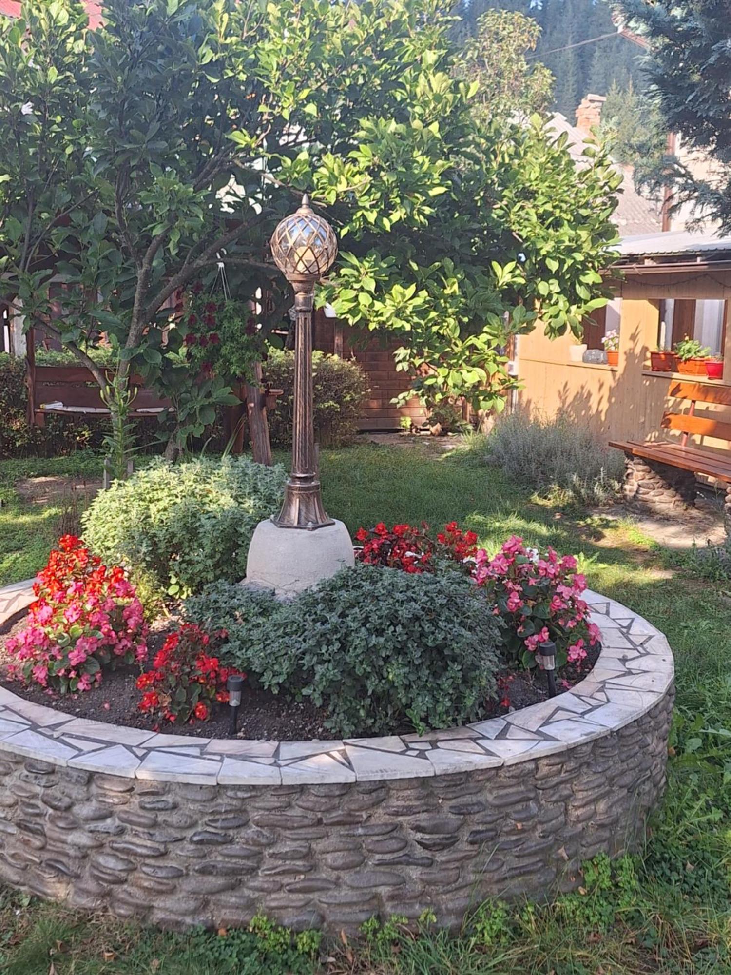 Casa Cu Lavanda Ватра-Дорней Экстерьер фото